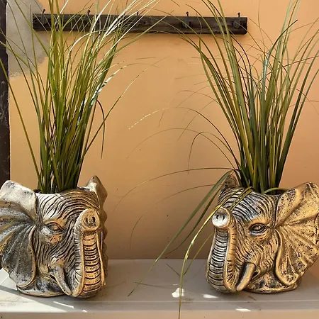 Anyhome Oasi In Citta Imola