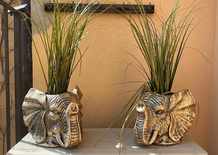 Anyhome Oasi In Citta Imola